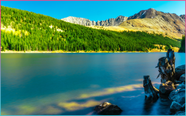 Top Commercial Production Companies Denver